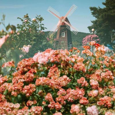 华体会登录(官方)APP下载下载手机版