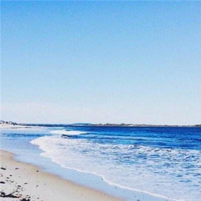 B体育·(sports)官方网站