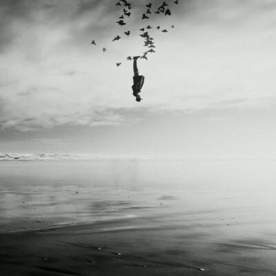 乐鱼app(中国体育)官方网站下载手机版