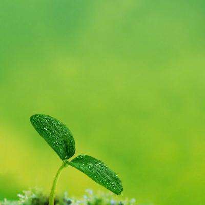 半岛app下载入口