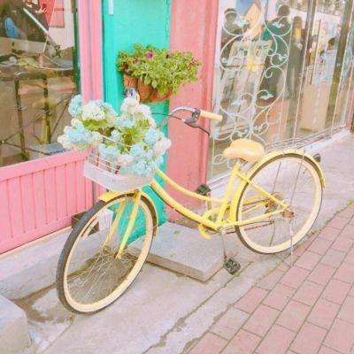 yaboapp下载手机版