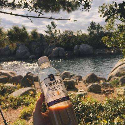 49图库资料免费大全资料澳门下载手机版