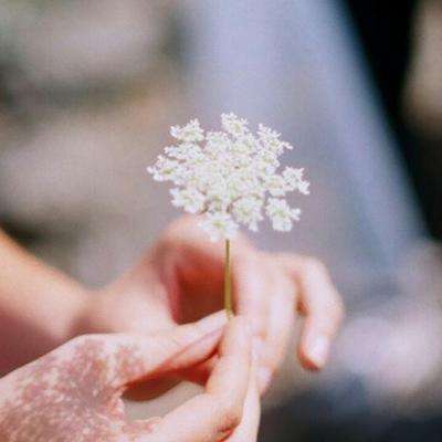 乐鱼官网手机版app下载