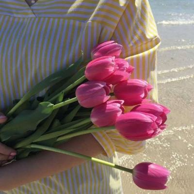 BB贝博ballbet登录入口